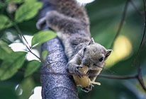轰炸电话软件免费版在线轰炸