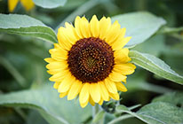 一秒发1000条手机号的软件