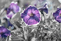 轰炸电话软件免费版在线轰炸