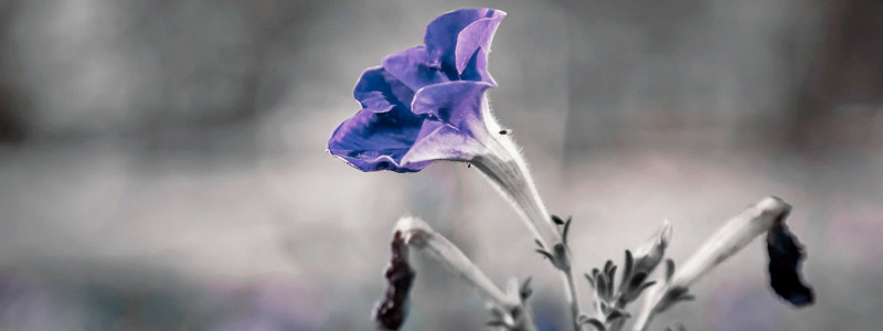 短信轰在线轰炸免费